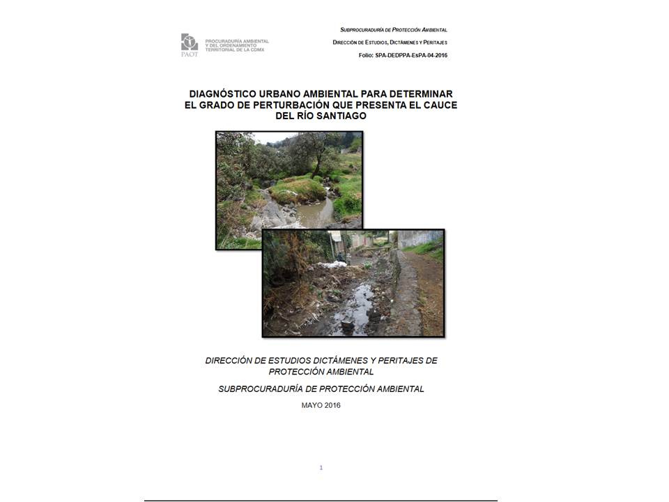 Portada de Diagnóstico urbano ambiental para determinar el grado de perturbación que presenta el cauce del río Santiago 