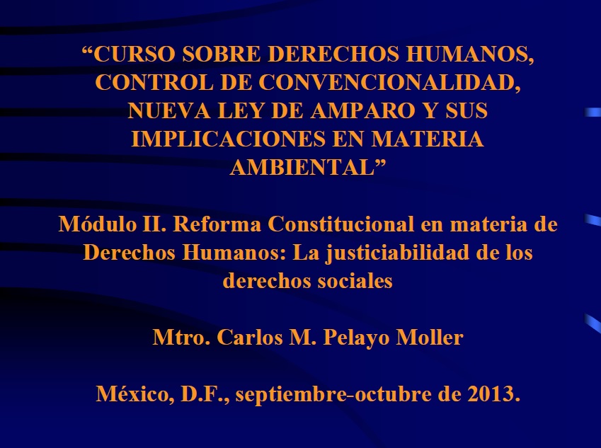 Portada de Curso sobre Derechos Humanos, Control de Convencionalidad y la Nueva Ley de Amparo (Módulo II)