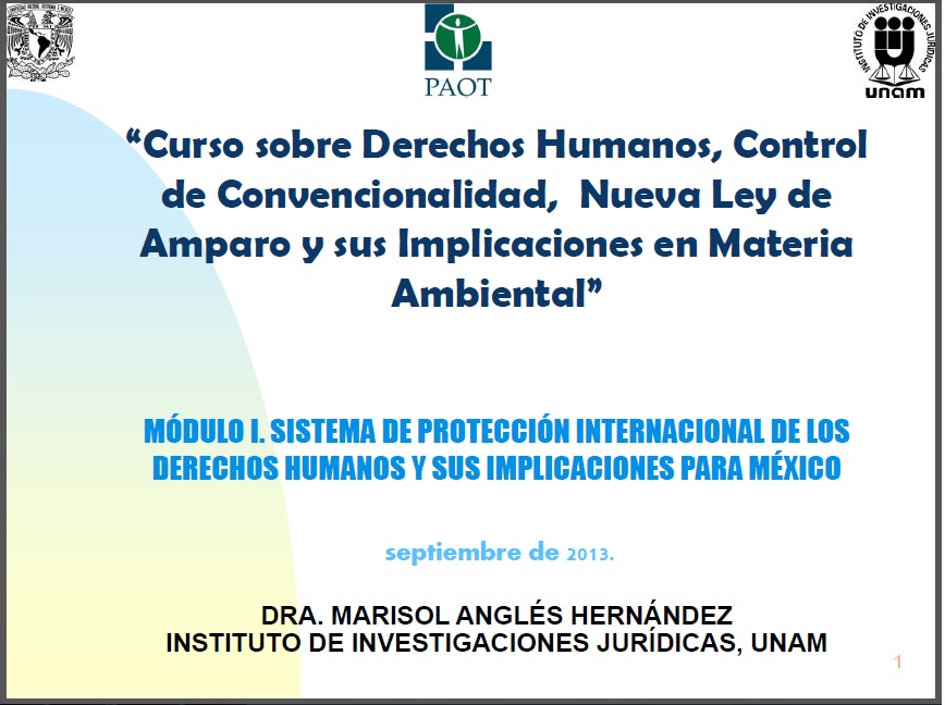 Portada de Curso sobre Derechos Humanos, Control de Convencionalidad y la Nueva Ley de Amparo (Módulo I)