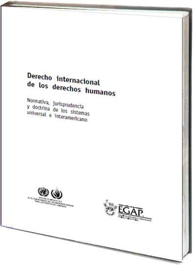 Portada de Derecho internacional de los derechos humanos