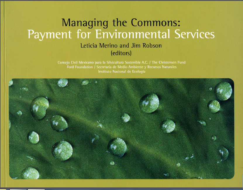 Portada de Managing the commons: