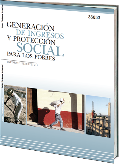 Portada de Generación de ingresos y protección social para los pobres