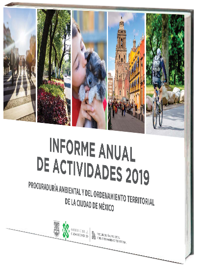 Portada de Informe Anual de Actividades de la PAOT 2019