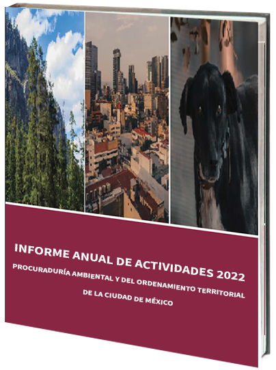 Portada de Informe Anual de Actividades de la PAOT 2022